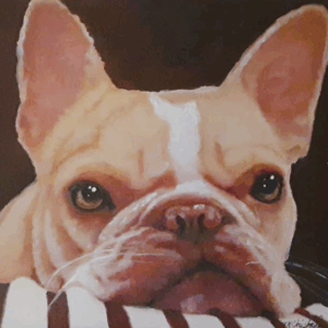 Portrait of a golden french pug by Maryanne Chisholm